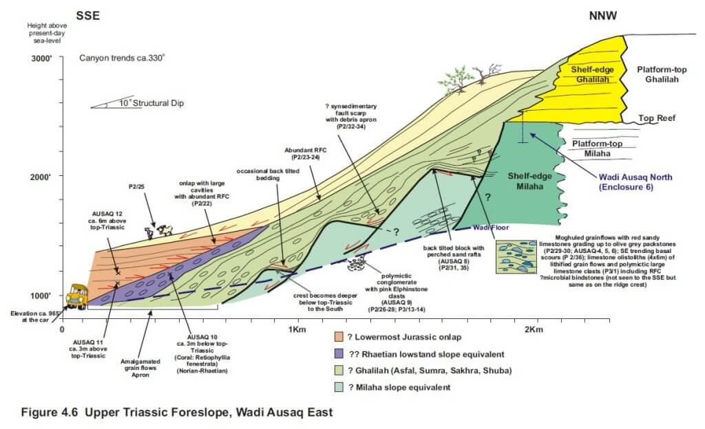 Wadi Ausaq, Middle East: Upper Triassic Tectono-stratigraphic reconstruction