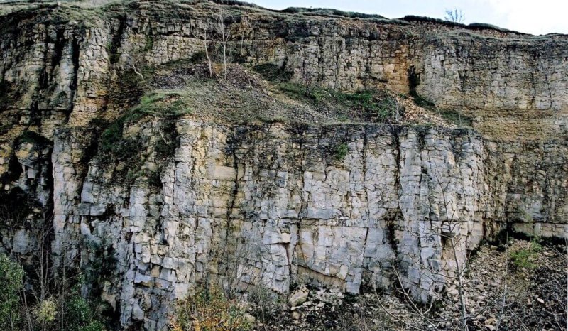 Leckhampton Hill Aalenian Inferior Oolite megadunes, Dead Mans Quarry