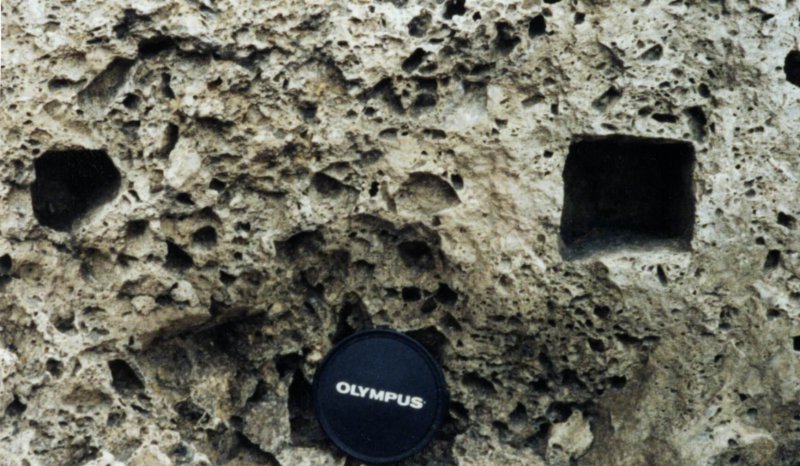 Zechstein collapse breccia carbonate residue in which dolomite clasts are selectively leached, Trow Point