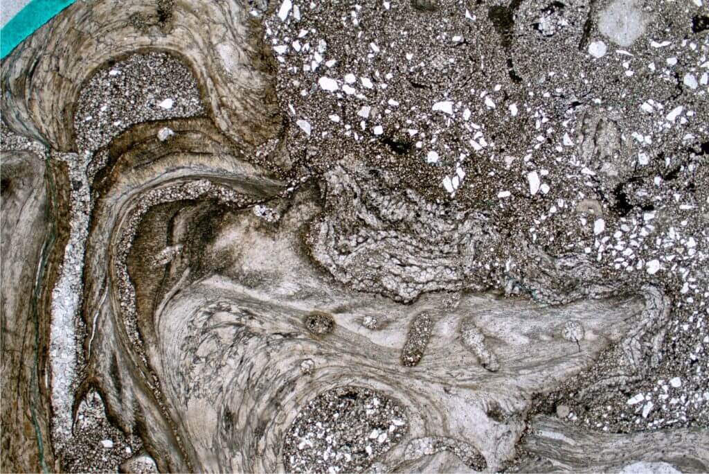 Thin section of a low-diversity fossil assemblage consisting almost entirely of large oyster fragments encrusted by bryozoa. This distinctive biofacies is characteristic, though not diagnostic, of brackish estuarine deposystems. Albian of West Africa. Thin section of a low-diversity fossil assemblage consisting almost entirely of large oyster fragments encrusted by bryozoa. This distinctive biofacies is characteristic, though not diagnostic, of brackish estuarine deposystems. Albian of West Africa.