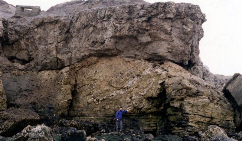 Field trip to the Zechstein collapse breccia, Trow Point, South Shields