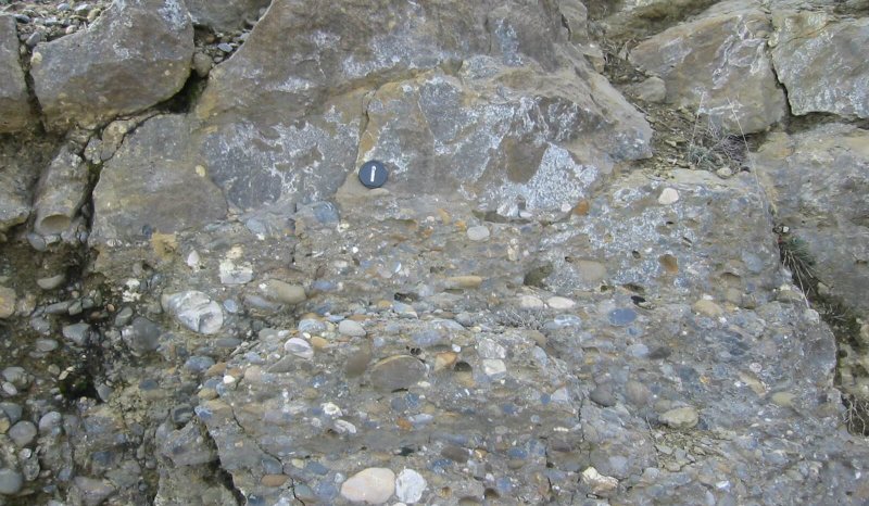 Interdistributary bay oyster bank, Tremp-Pont D’Montanyana, Montllobat pass