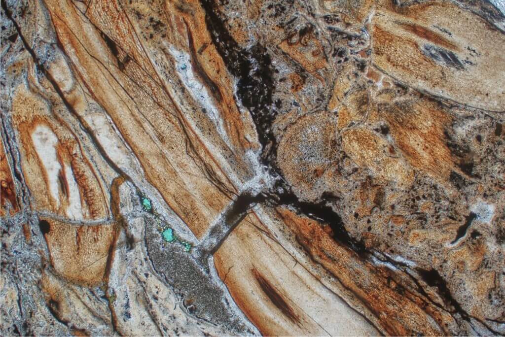 Thin section of a condensed lag deposit consisting almost entirely of phosphatised bone fragments. Sample from the basal Eocene Dababiya Quarry Member of the Esna Shale, onshore Egypt