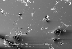 SEM showing 10 micron diameter sampling pits, illustrating the precision achievable with the laser ablation technique. A Carbon-Oxygen isotope determination was made at each sampling point.