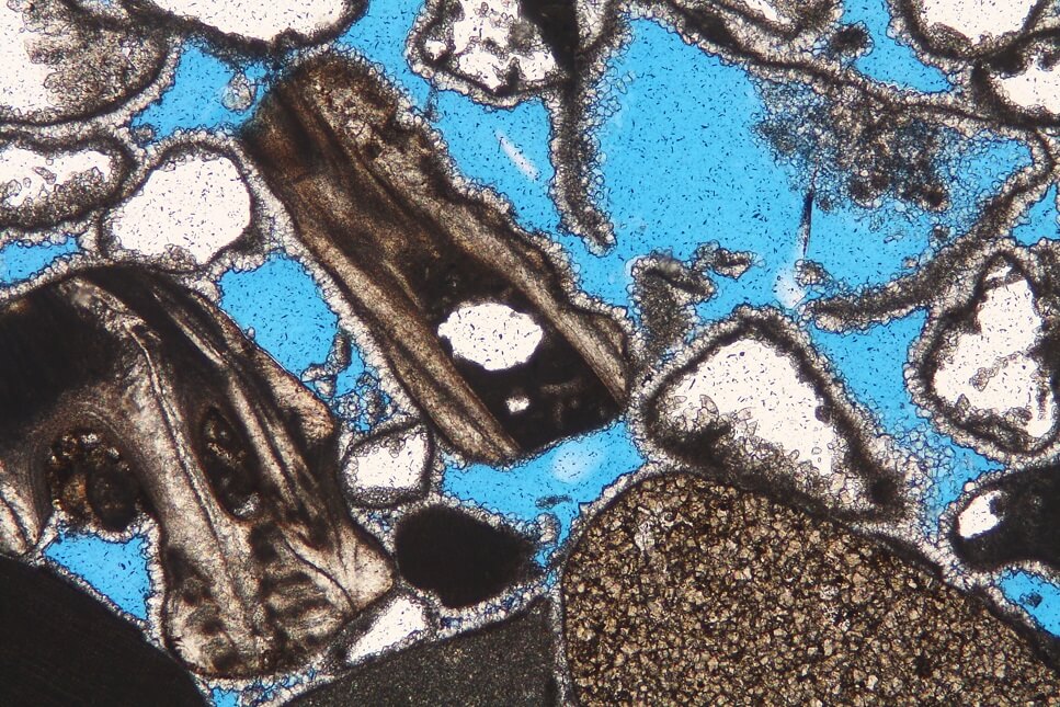 Thin section containing barnacles and (leached) molluscan debris, accompanied by intraclasts.  This distinctive biofacies is typical of high-energy rocky shoreline settings. Sub-Recent sample, eastern Arabia