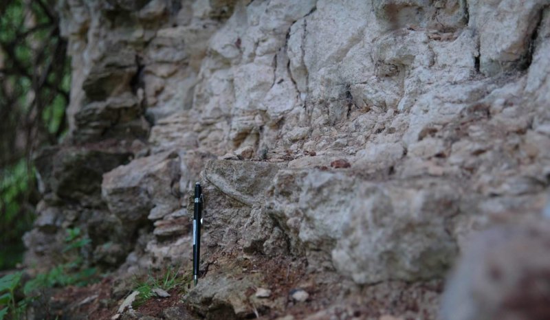 Belemnite littered transgressive surface, Dead Mans Quarry