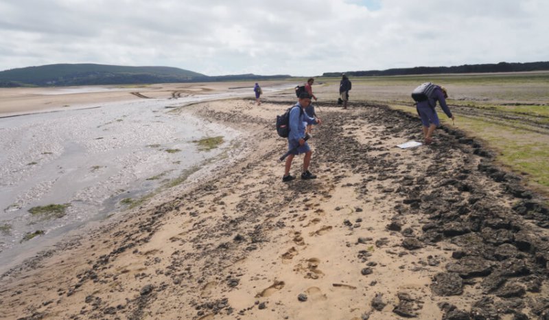 Oolithica Field seminar to Loughor Bay Estuary