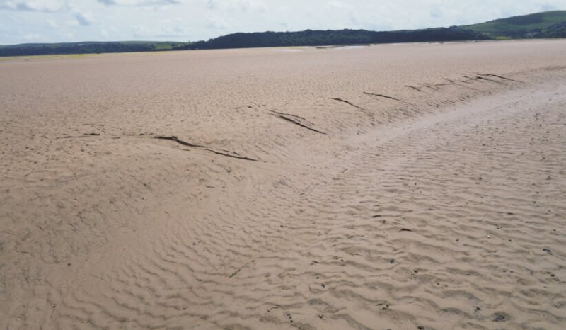 Falling stage microchannel cuts on the margin of a tidal creek, note tranverse rippled sands on base of the creek channel, Loughor Estuary