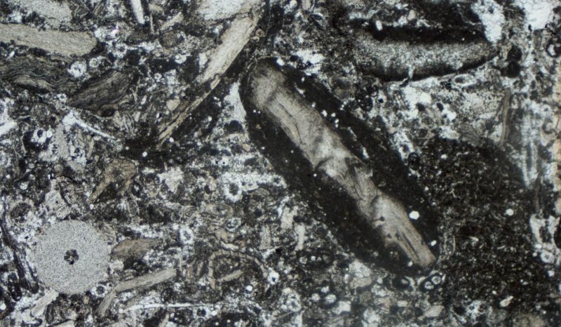 Thin section of D2 Dove Hall, Carboniferous, Derbyshire