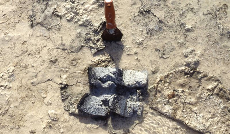 Sediment core from the present day sabkha, Abu Dhabi