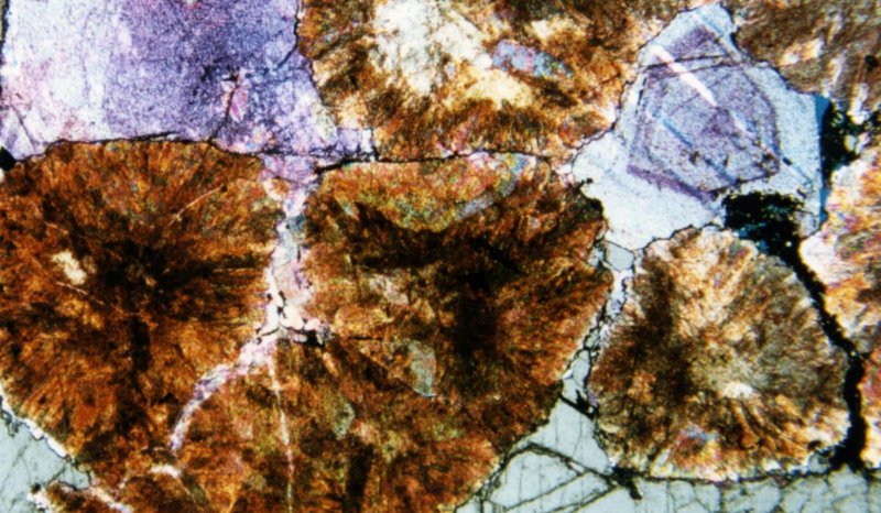Zechstein dedolomitized spherulitic limestone, with oil present in inter-spherulite halite cements