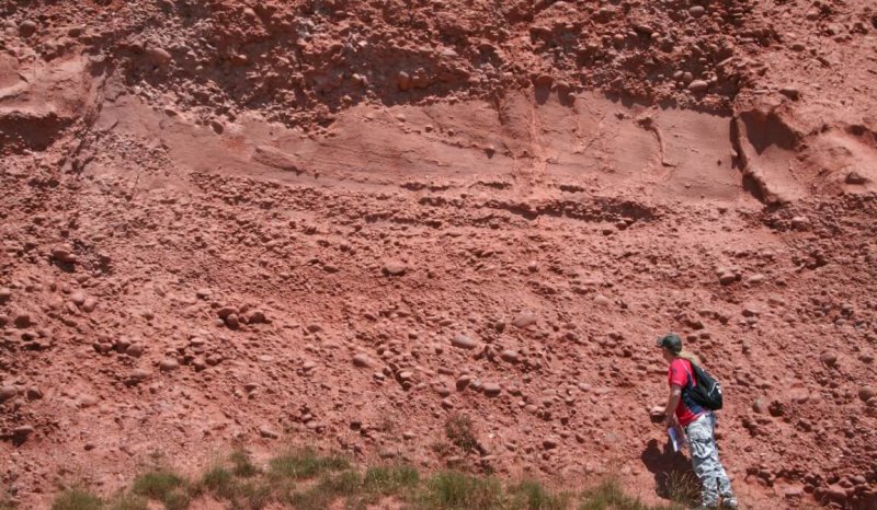 Oolithica Fieldtrip to Budleigh Salterton - alluvial fan Triassic Pebble Beds