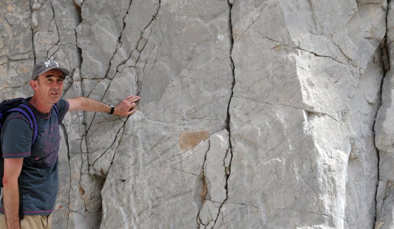 Fractures in foreslope limestones, Wadi Assayi, Jebel Akhdar