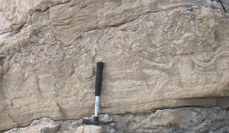 White Lias Tsunamites and weismites, West of Lyme Regis