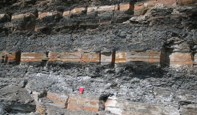 Kimmeridge Clay depositional microcycles at Kimmeridige Bay