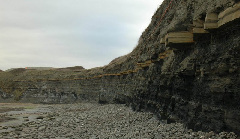 Kimmeridge Clay at Kimmeridge Bay