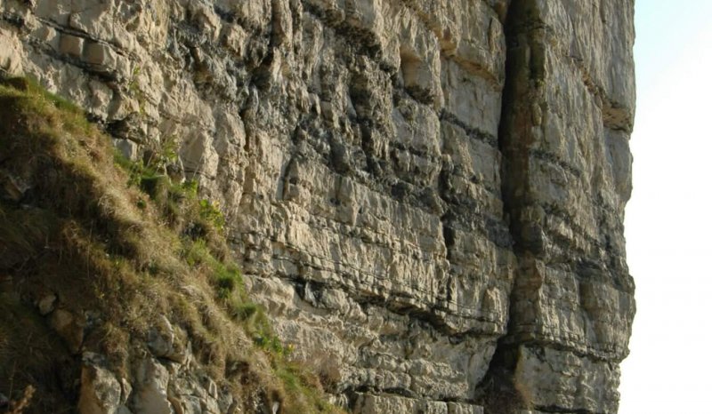 Chert rich ramp carbonates, Isle of Purbeck