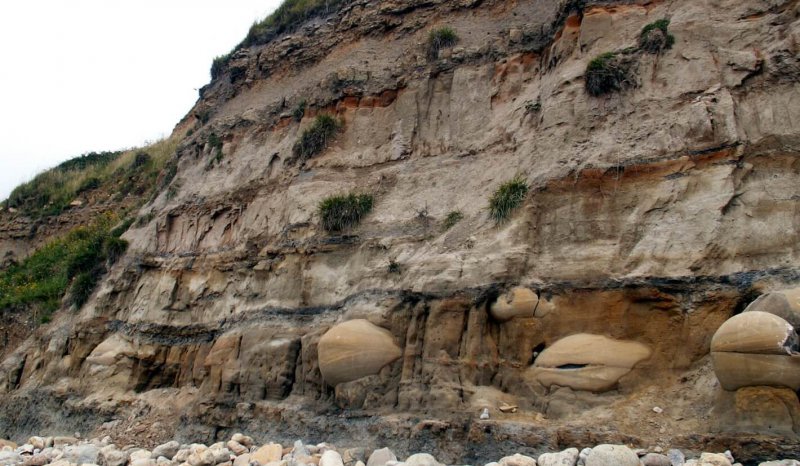 Oil stained Jurassic Bencliff Grit sandstones with large authigenic calcite nodules, Osmington Mills