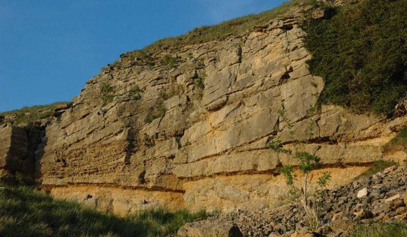 Large scale cross beds within Middle Jurassic oolites Cotswolds