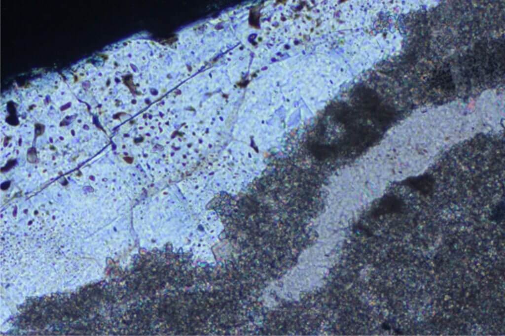 Brown oil-filled fluid inclusions and co-existing colourless fluid inclusions within fracture-filling celestite cement.  Lower Tertiary, Salt Range, Pakistan