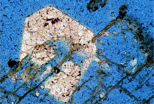 Thin section showing secondary intraparticle porosity after feldspar, whose outline is preserved by an earlier diagenetic chlorite grain coating, and later partly cemented by calcite