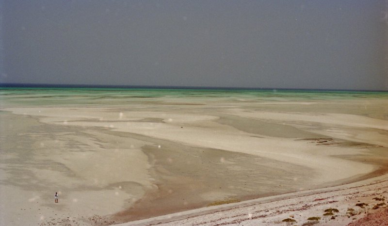 Present day subtidal sediments, Trucial Coast, Abu Dhabi