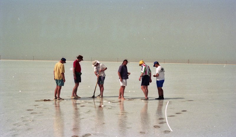 Present day sabkha / subtidal deposits, Abu Dhabi