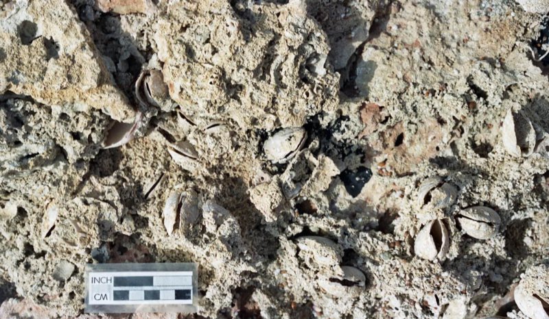 Mouldic porosity after leaching of aragonitic bioclastics, Abu Dhabi