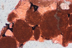 Cuttings fragment comprising a Peloidal Grainstone displaying dead oil emplaced after a phase of blocky calcite cements which reduced interparticle pore space