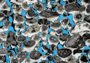 carbonate diagenesis microstalactitic vadose cements in ooid grainstone