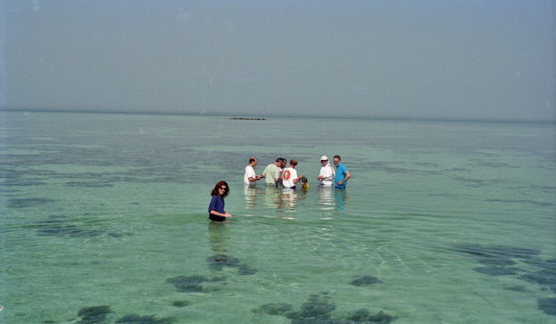 Geology fieldtrip to examine present day subtidal sediments, Trucial Coast, Abu Dhabi