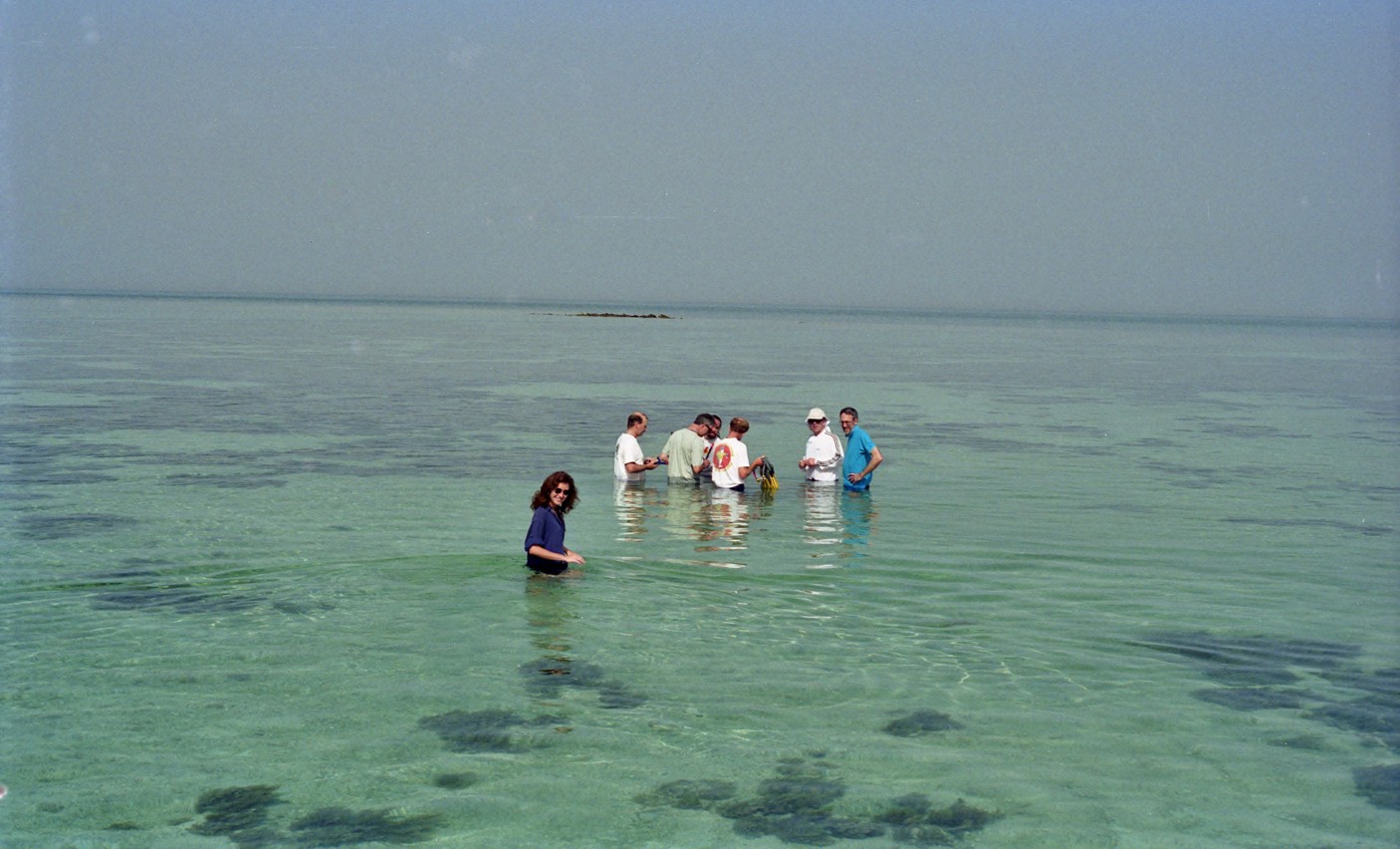 Geology fieldtrip to examine present day subtidal sediments, Trucial Coast, Abu Dhabi