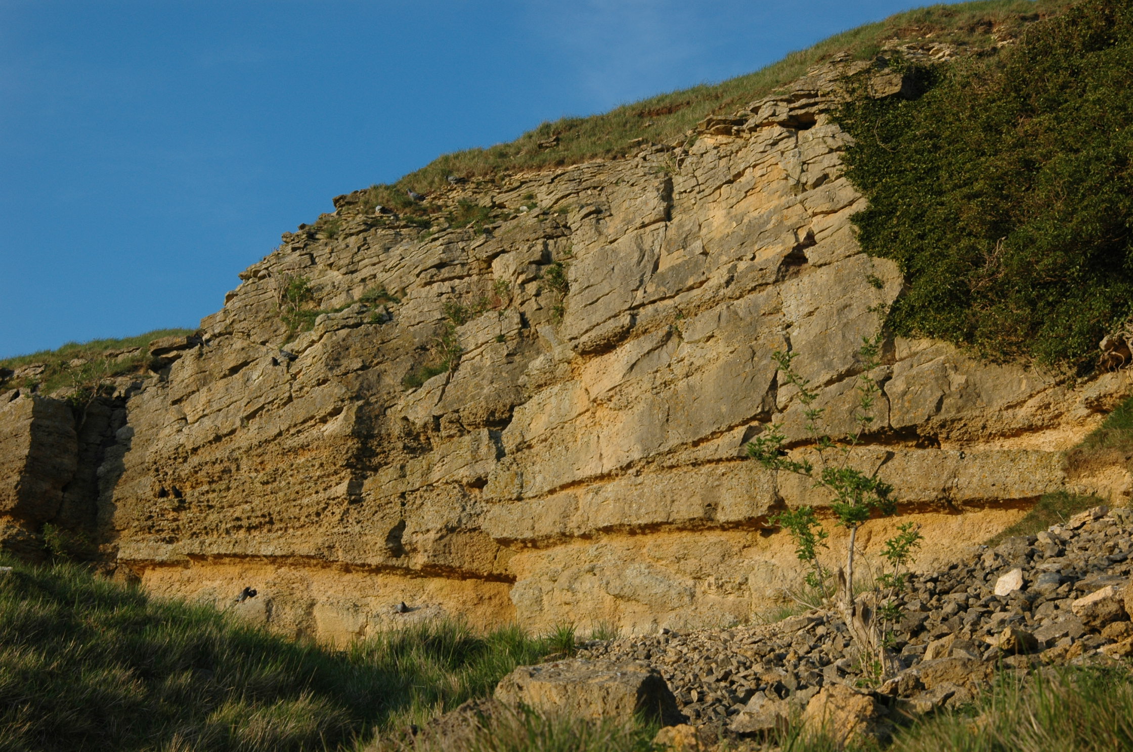 Aalenian Inferior Oolite clinoforms, Cleeve Hill