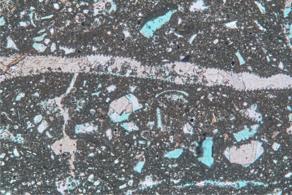 The bimodal pore network in this sparse skeletal wackestone facies comprises fair mouldic macroporosity (after leached halimediform algae) and fair interparticle microporosity associated with the silt-grade micropeloidal matrix