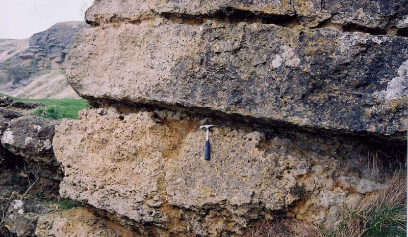 Basal inferior oolite parasequences, Cleeve Hill, Cotswolds