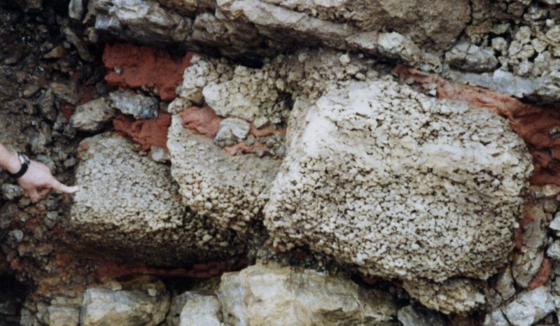 Zechstein dedolomite, Seaham Harbour