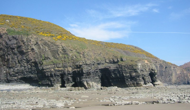 Namurian Middle Shale overlain by Upper Sanstone Group, Telpyn Point, S Wales
