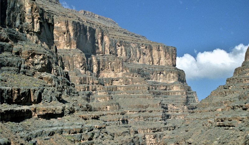 Lower Cretaceous, Wadi Nakhr, Oman