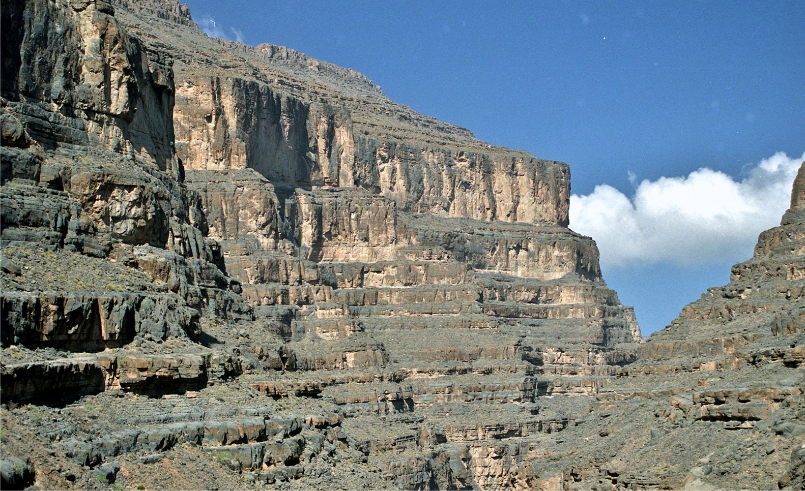 Lower Cretaceous, Wadi Nakhr, Oman