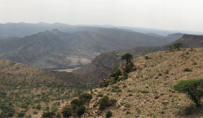 Fieldwork in Eastern Ethiopia / Somaliland