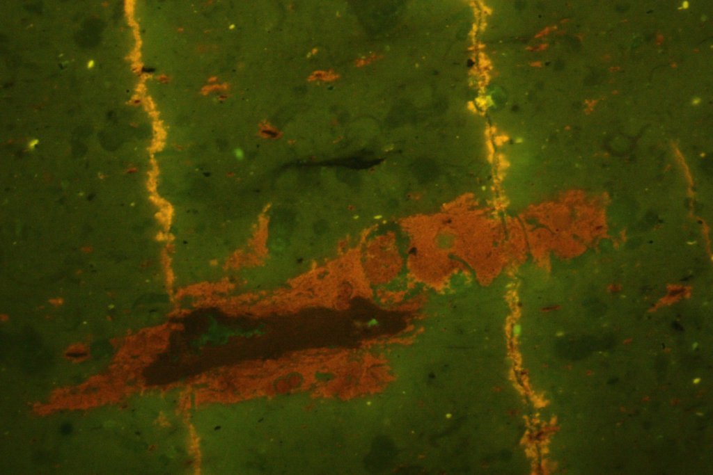 UV Petrography image of oil stained hairline fractures with self sourced oil