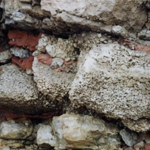 Zechstein dedolomite, Seaham Harbour