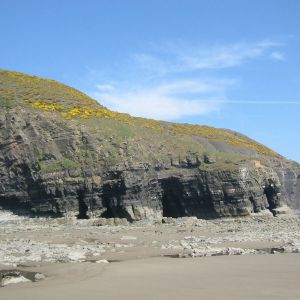Namurian Middle Shale overlain by Upper Sanstone Group, Telpyn Point, S Wales
