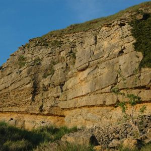 Large scale cross beds within Middle Jurassic oolites Cotswolds