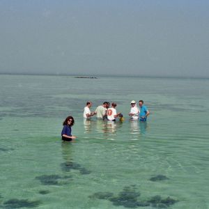 Fieldtrop to present day subtidal sediments, Trucial Coast, Abu Dhabi